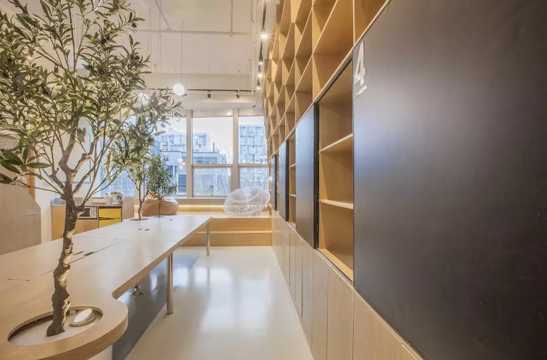 牛在墻上飛，猴子樹梢醉；這是在動物園辦公嗎？